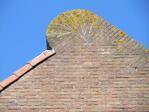 Geveltop.
<br/>
Gert-Jan Lobbes, 2015